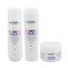 GOLDWELL Dualsenses Blondes & Highlights Anti-Yellow Shampoo 250ml + Conditioner 200ml + 60 SEC Treatment 200ml Set