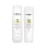 GOLDWELL Dualsenses Rich Repair Restoring Shampoo 250ml + Conditioner 200ml Set
