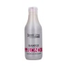 STAPIZ SLEEK LINE BLUSH BLOND Blond and Ginger Hair Shampoo 300ml