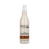 Stapiz Sleek Line Repair 2-Phase Conditioner with silk 300 ml