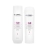 GOLDWELL Dualsenses Color Brilliance Shampoo 250ml + Conditioner 200ml Set