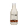 STAPIZ Sleek Line Shampoo with silk 300 ml