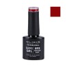 ELIXIR Hybrid nail polish 893 ANTIQUE RUBY 8ml