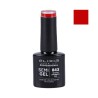ELIXIR Hybrid nail polish 843 BOSTON UNIVERSITY RED 8ml
