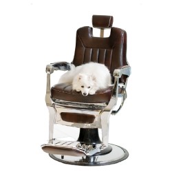 SAKAI MAYFAIR barber chair...