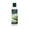 HERBATINT ALOE VERA Normalizing shampoo with aloe extract 260ml