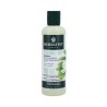 HERBATINT ORGANIC BIO MORINGA Shampoo regenerating damaged hair 260ml