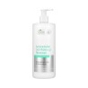 BIELENDA PROFESSIONAL Antibacterial gel make-up remover 500ml